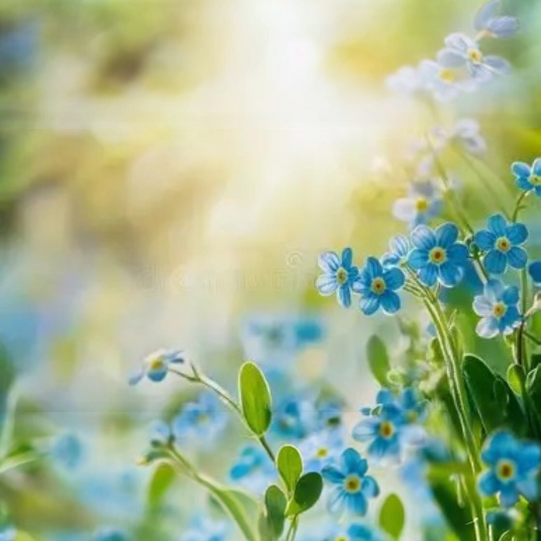 A collection of remembrance flowers including lilies, forget-me-nots, and roses, symbolising love, grief, and memory