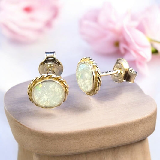 Round Solid Back Rope Edge Silver Earrings
