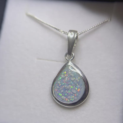 Procyon pendant video